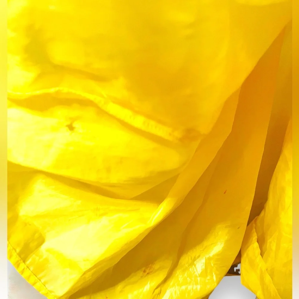 Disney beauty and the beast beast princess dress
